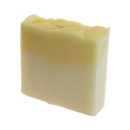 Savon pour le cuir chevelu et le corps